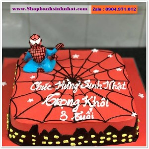 Bánh Sinh Nhật Siêu Nhân - US41